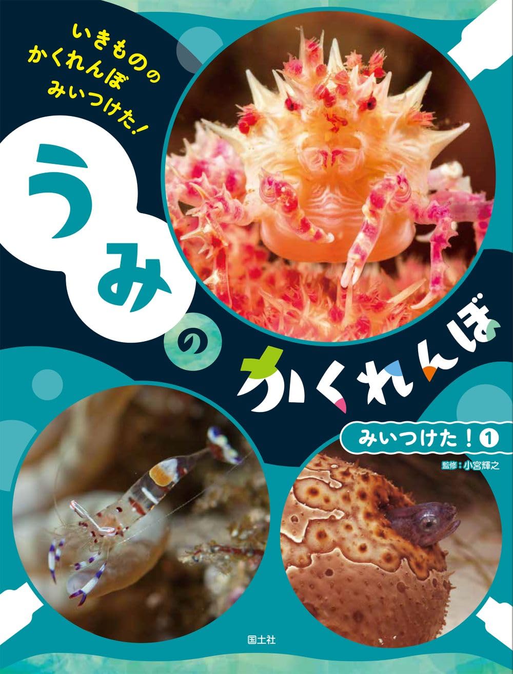 うみの かくれんぼ みいつけた! 1 (いきものの かくれんぼ みいつけた